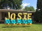 Josie Yard Stakes