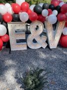 E & V