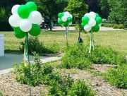 Balloon Stars on Stakes $15